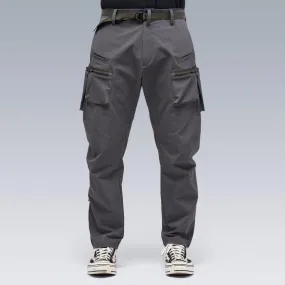 P41-DS 'Grey'