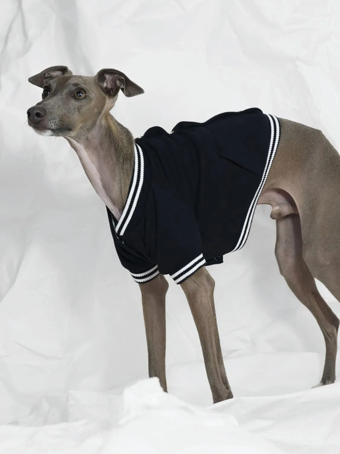 Poldo Dog Couture Baseball Bomber Jacket Navy