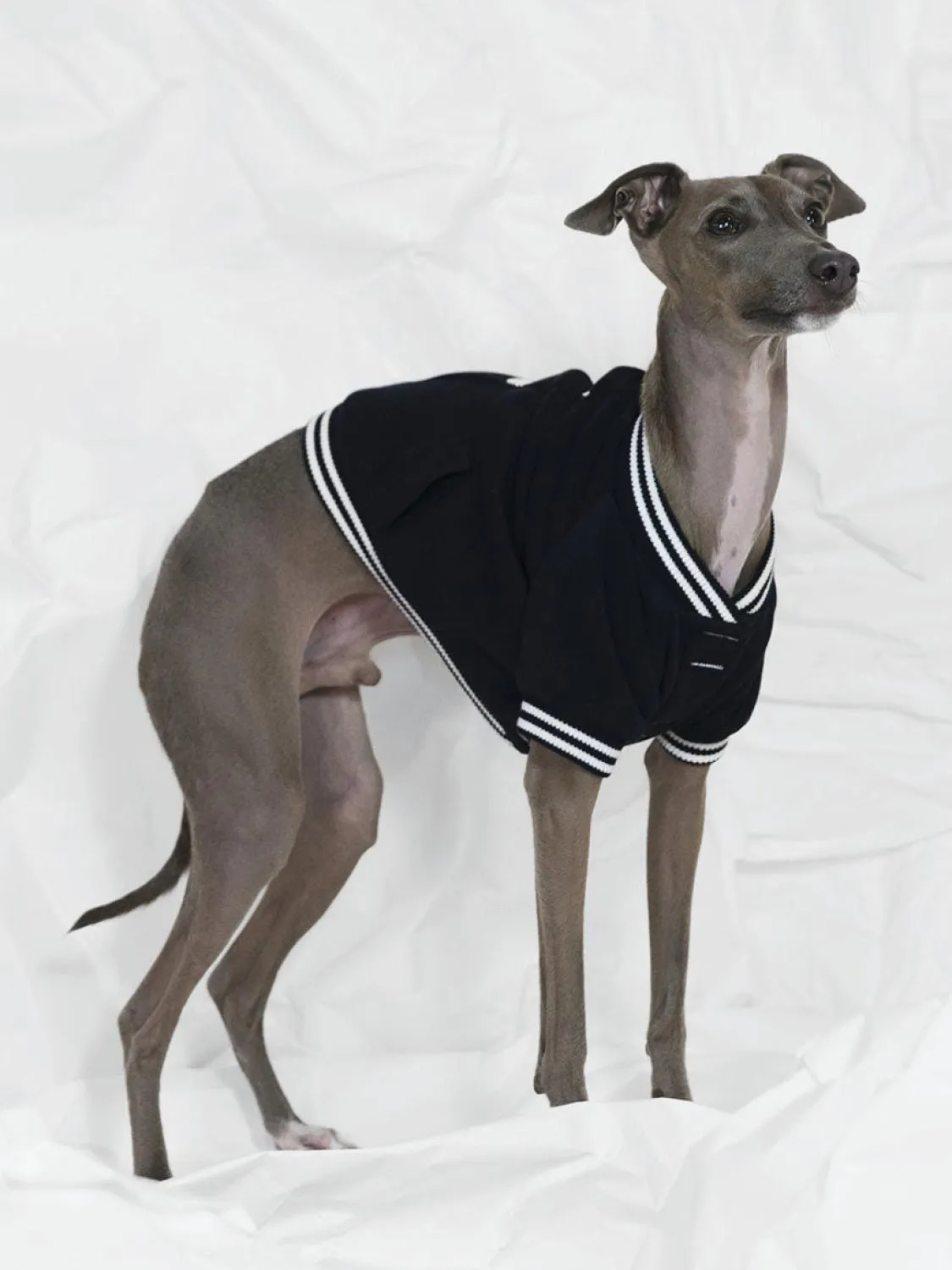 Poldo Dog Couture Baseball Bomber Jacket Navy